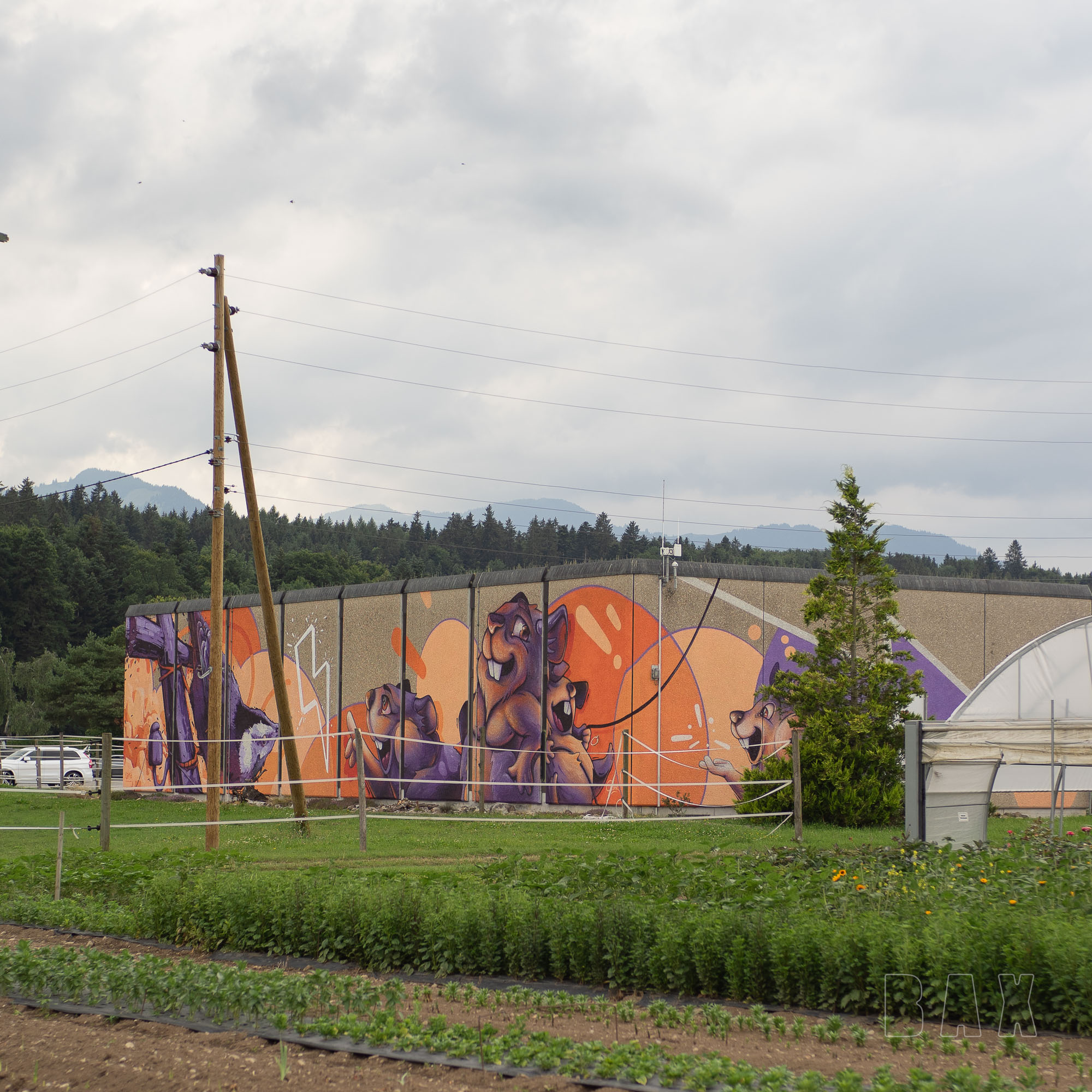 Energie Thun Buchholz