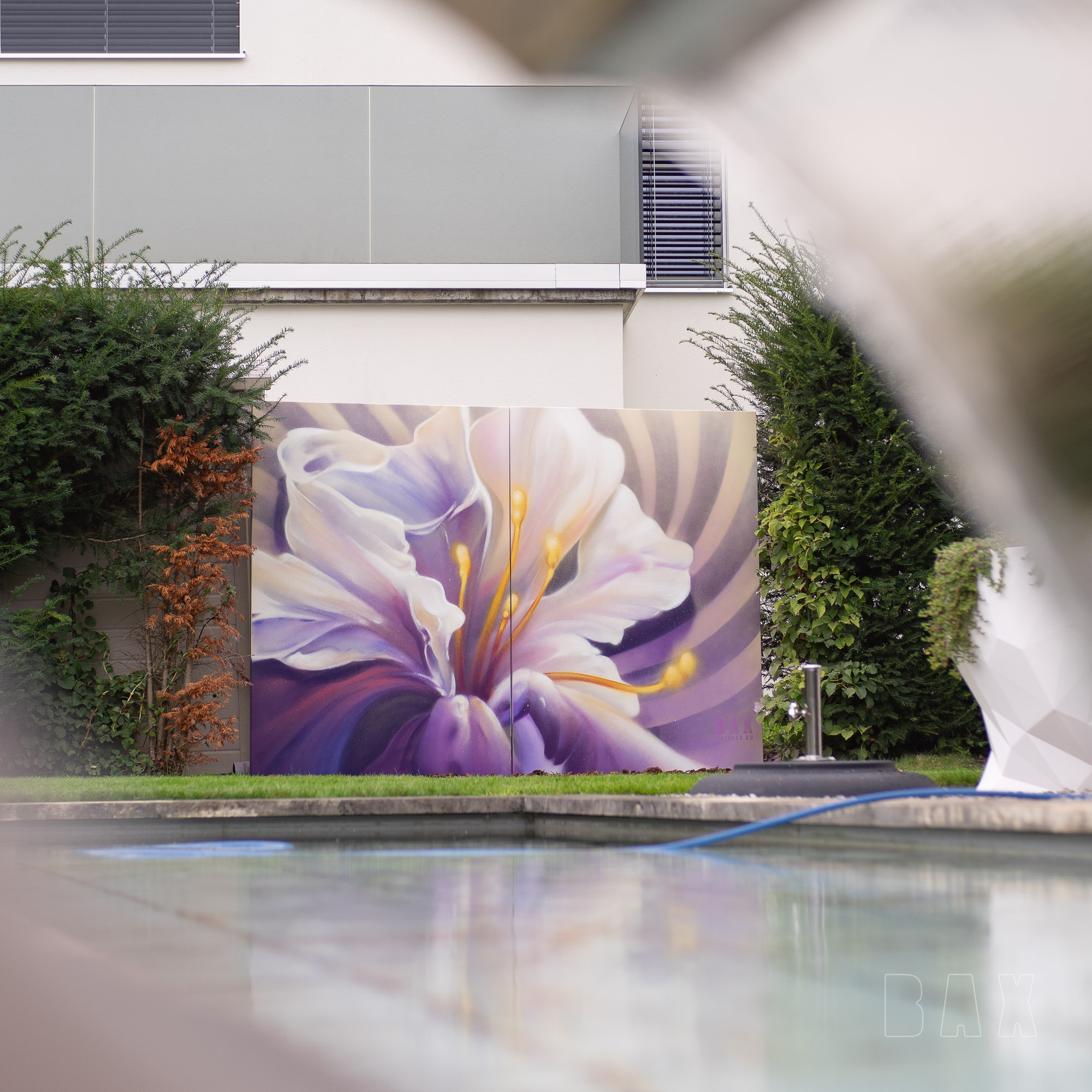 Sichtschutzwand Iris